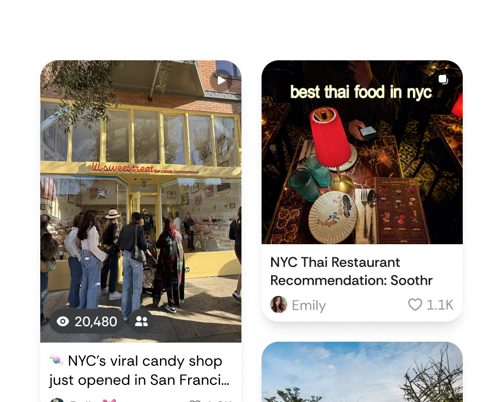 The  app — A feed that breathes