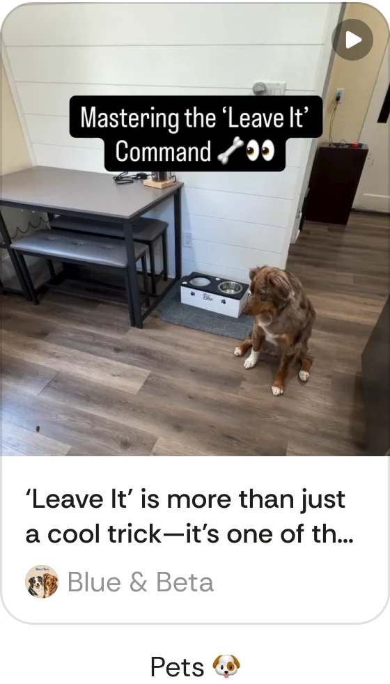 A Gist post — Pets
